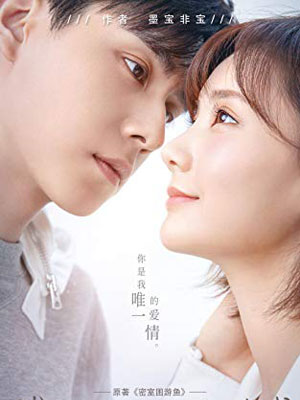 密室困游鱼（我的时代，你的时代）